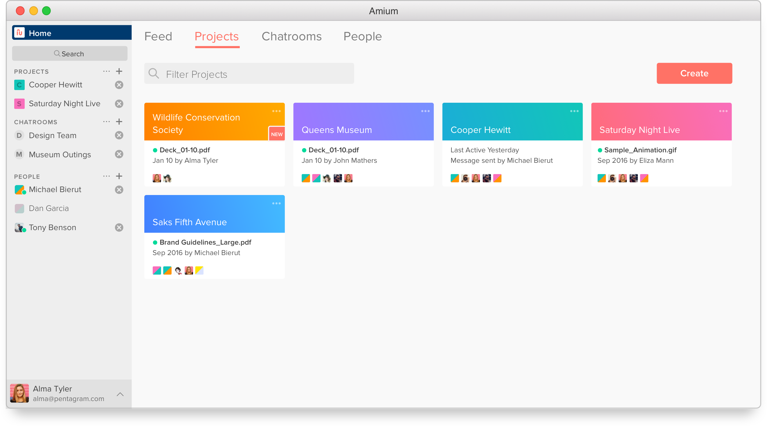 Amium Final Interface 1